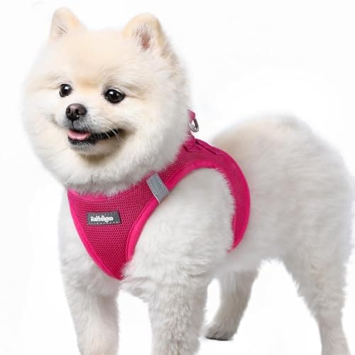 Image of rabbitgoo Dog Harness Small Dog, Step-in Soft Mesh Puppy Harness with Reflective Strips, Lightweight Breathable Pet Vest for Walking Training, Hot Pink, S