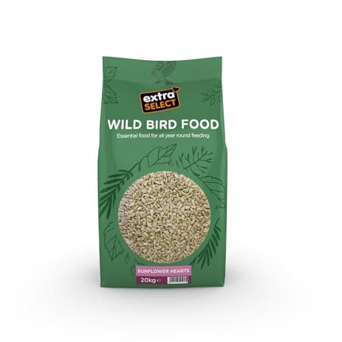Image of Extra Select Sunflower Hearts Bird Food 20kg - Husk-Free, Bakery Grade, Premium Wild Bird Seed