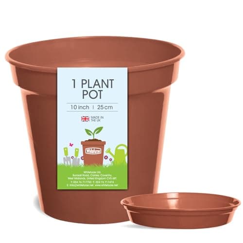 Image of Whitefurze Plant Pot with Saucer, 25 cm, Terracotta, Made in UK