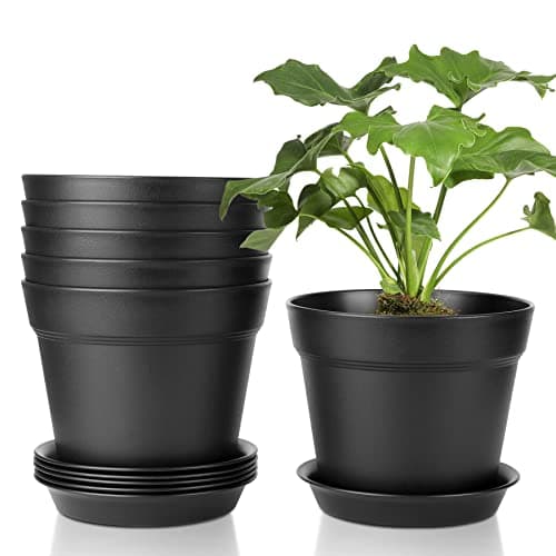 Image of T4U 17CM Plastic Plant Pots 6-Pack, Large Flower Planter with Drainage Hole and Saucer, Classic Indoor Outdoor Black Plant Pots for Orchid, Penoy, Rose, Snake Plant, Aloe, Tulips, Peace Lily