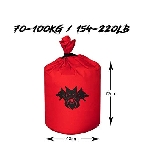 Image of CERBERUS Strength Heavy Duty Sandbag V2 with Liner Kit (70-100kg)