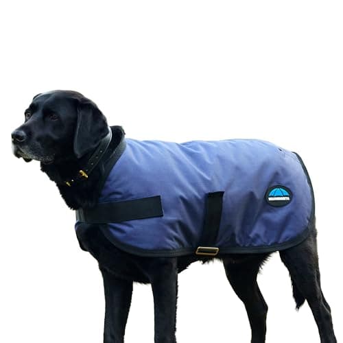 Image of WeatherBeeta ComFiTec Classic Waterproof Dog Coat, Navy, 35cm