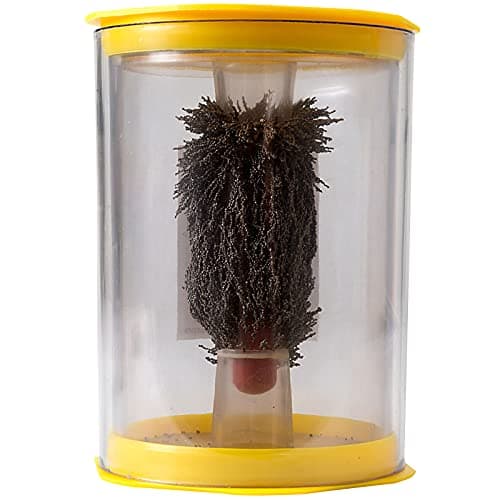 Image of Shaw Magnets - Science Magnetism Tube - Iron Fillings - 130 x 90mm