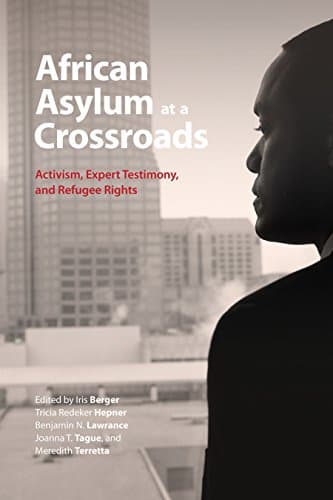 Image of African Asylum at a Crossroads: Activism, Expert Testimony, and Refugee Rights