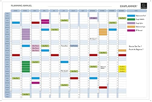 Image of Exacompta - Ref. 56150E - 1 annual planning magnetic whiteboard - texts in French - dry erasable - delivered with all the necessary accessories - size 90 x 59 cm - white colour
