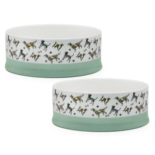 Image of Banbury & Co Ceramic Dog Food Bowls Set of 2, 400ml Durable Stoneware, Dishwasher Safe, Stylish Dog Print Design - 16.5cm Diameter