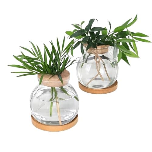 Image of Hniuyun Propagation Station, Glass Terrarium Vases with Wooden Base & Lids for Hydroponic Plants, Home/Office Decor & Gift for Plant Lovers, 2pcs