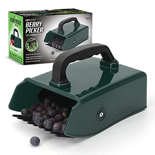 Image of CKB LTD Berry Picker Handheld Easy Scoop Comb Tool Fruit Harvester Plastic Metal Garden Outdoor Camping Blueberry Blackberry All Berries Rake Scoop for Fruit Foraging Harvesting Collector - Green