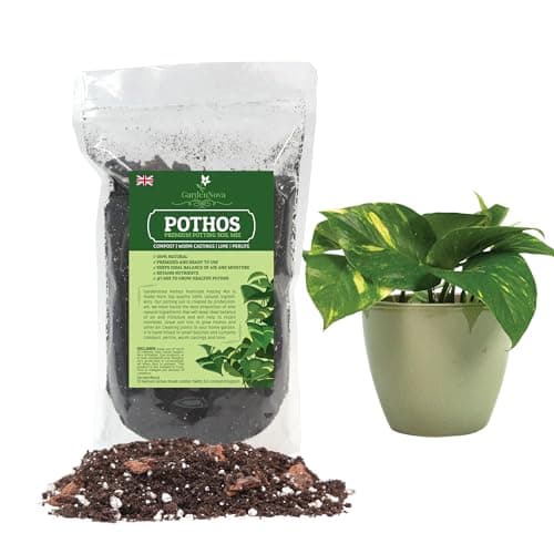 Image of Premium Pothos Potting Soil - Air Cleaning Plant Mix, Soil for Pothos, Parlor Palm, Peace Lily - 2 L Bag