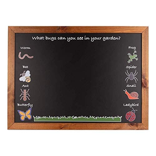 Image of Chalkboards UK WC055 Garden Bug-Kids Large Indoor/Outdoor Chalkboard (A1), Black, 900 x 662 x 20mm