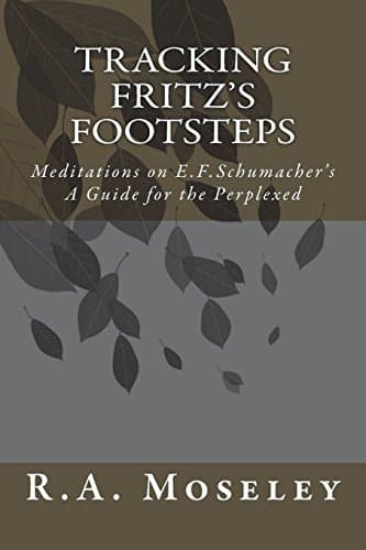 Image of Tracking Fritz's Footsteps: Meditations on E.F. Schumacher's A Guide for the Perplexed