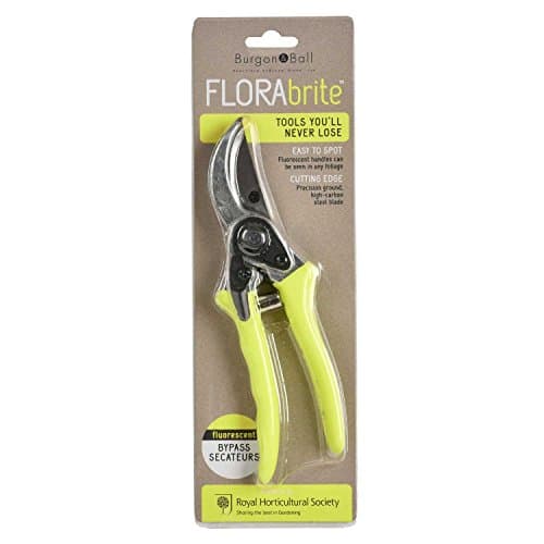 Image of Burgon & Ball FloraBrite RHS Endorsed Bypass Secateur, 21 cm Length, Yellow