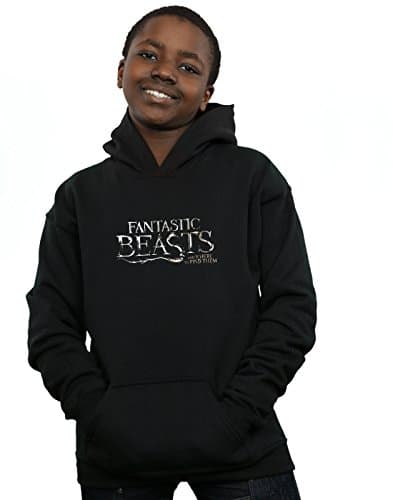 Image of Absolute Cult Fantastic Beasts Boys Text Logo Hoodie Black 9-11 Years