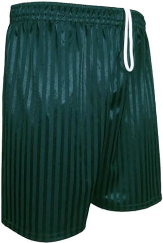 Image of 22YardsPro Boys Girls & Adults Shadow Stripe School Sports Football Rugby PE Shorts UK (Green, 15-16 Years)