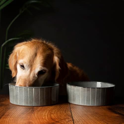 Image of Scruffs Ceramic Heavy Duty Reactive Glaze Pet Bowls - 2pc Set - Grey Pinstripe - 19cm
