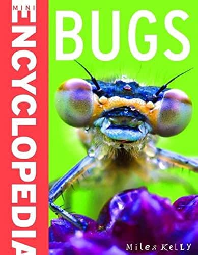Image of Mini Encyclopedia - Bugs (Sticker Book)