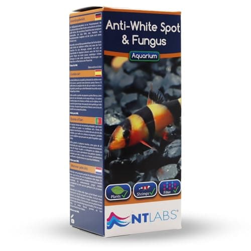 Image of NT Labs Aquarium Anti White Spot & Fungus Treatment, Cures White-Spot Disease, Treats Fish Fungus, Freshwater Aquarium Medicine (100ml - Treats 500L)
