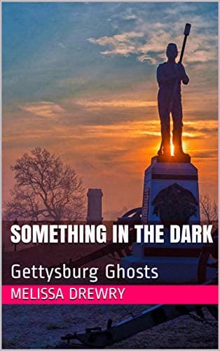 Image of Something in the Dark: Gettysburg Ghosts