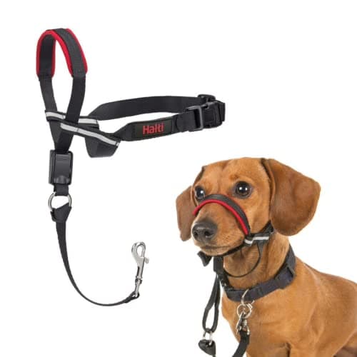 Image of HALTI Optifit Headcollar Size Small, Dog Head Harness to Stop Pulling on the Lead, Easy to Use, Adjustable & Reflective Head Collar for Dogs, Professional Anti-Pull Training Aid, Black