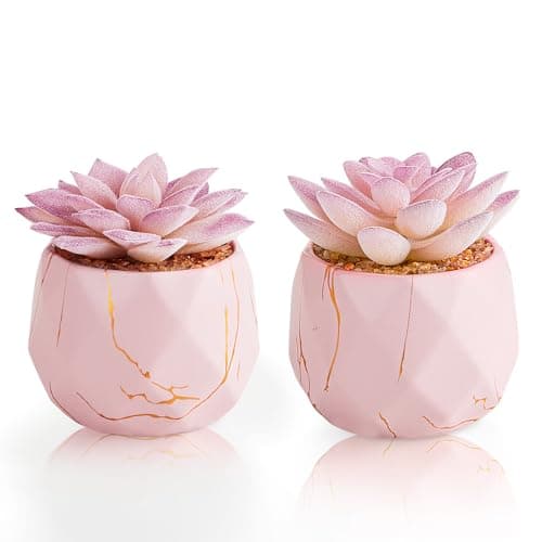 Image of ZENIDA Set of 2 Artificial Succulents Plants in White Ceramic Pots, Mini Potted Plants, Small Decorative Fake Plants for Home, Office, Desk, Bathroom, Bedroom and Shelves Decor
