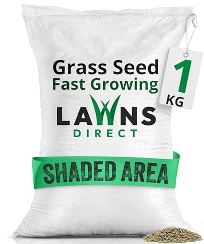Image of Lawns Direct™ ProGrass™ Professional Shade Grass Seed Mix – High Tolerance Lawn Seed for Shaded Areas, Parks, Private Gardens & Golf Courses (1kg)