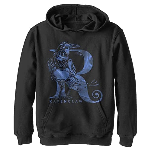 Image of Harry Potter Kids Deathly Hallows Ravenclaw Youth Pullover Hoodie, black, S
