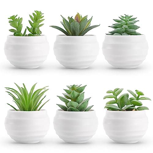 Image of Der Rose Set of 6 Succulents Plants Artificial in Pots Small Fake Plants for Bedroom Aesthetic Living Room Office Shelf Bathroom Decor