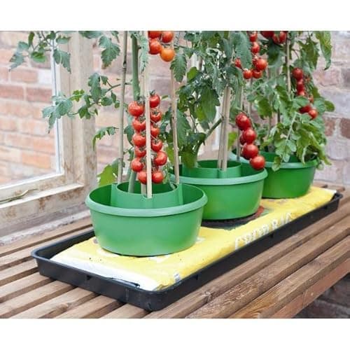 Image of Garland Plant Halos Tomato Culture Pots - Pack of Three