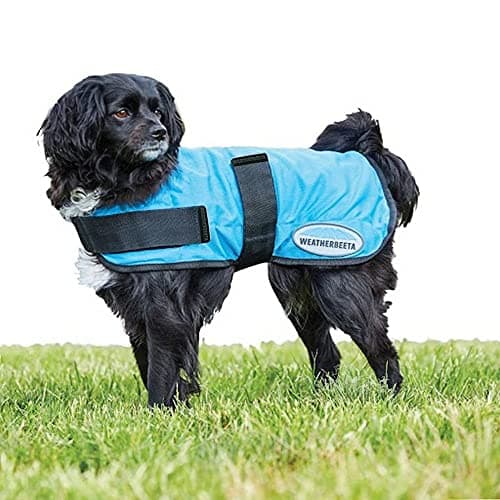 Image of WeatherBeeta Therapy-Tec Cooling Dog Coat, Blue, 35cm