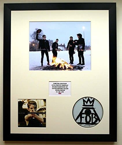 Image of FALL OUT BOY/PHOTO & CD DISPLAY LTD. EDITION OF THE ALBUM AMERICAN BEAUTY/AMERICAN PSYCHO