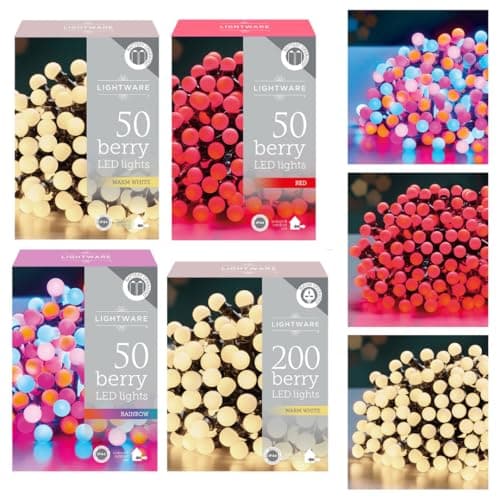Image of Daniel James 50 Berry Frosted LED Fairy Lights – Red LED String Lights for Indoor & Outdoor – Waterproof IP44 Battery Operated Christmas Lights: Berry Red