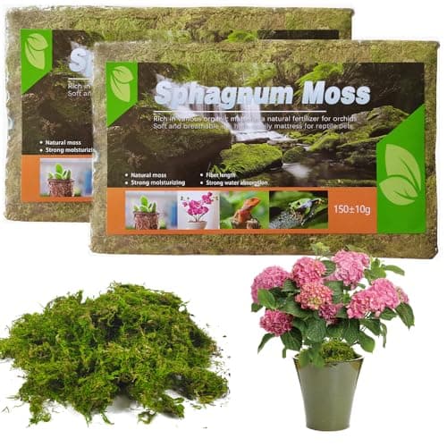 Image of HOVCEH Natural Sphagnum Moss, Dried Forest Moss, Sphagnum Moss Reptile, Premium Natural Sphagnum Moss for Reptile Hatching, Potted Plants Indoor Ideal Moist Repotting Sphagnum Orchid(300g)