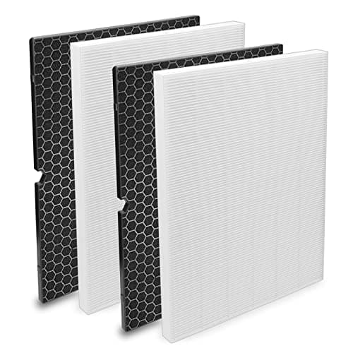 Image of Colorfullife 2 Pack 116130 Replacement Filter H for Winix 5500-2 Air Purifier, 2 HEPA Filters & 2 Activated Carbon Filters Combo Pack