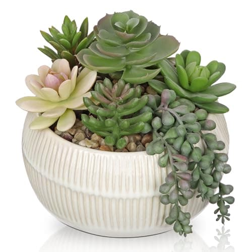 Image of Oairse Artificial Succulent Arrangement Assorted Realistic Faux Succulent Plants in Ceramic Pot, 14cm Lifelike Fake Plants Indoor for Home Office Bathroom Kitchen Table Shelf Decor