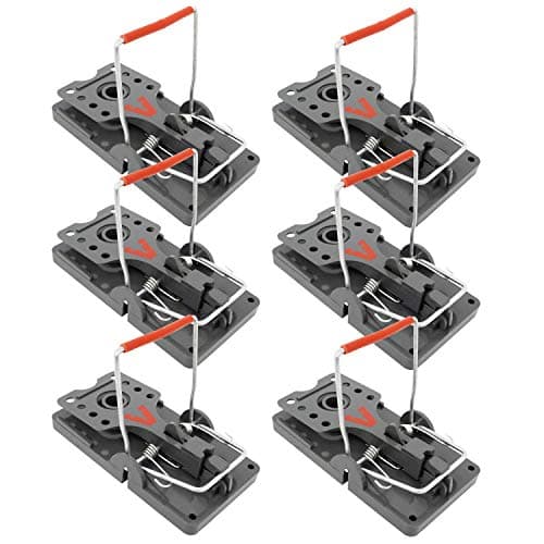 Image of Victor Power Kill Rat Trap (Pack of 6)
