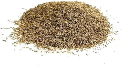 Image of Shady Area Lawn 1Kg Seed Grass Shade ( Covers 25 Square metres ) LGH