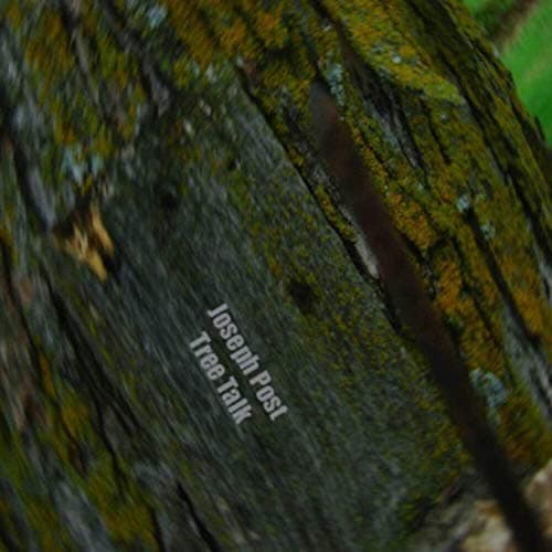 Image of First Words