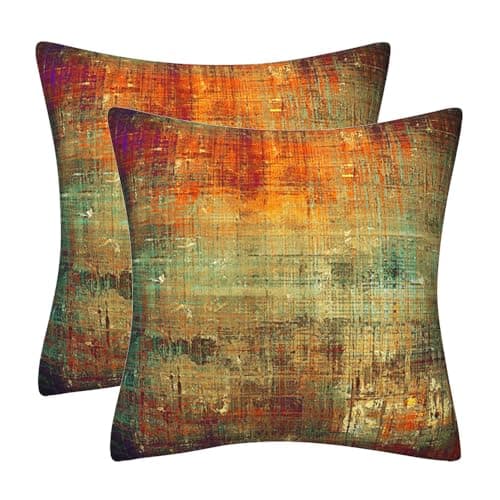 Image of DILOXNSU Set of 2 Decorative Velvet Cushion Covers 40 x 40 cm Retro Colour Soft Pillow Case 16x16 inches for Sofa Outdoor Patio Garden Living Room Home Decor Abstract Art Series