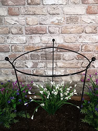 Image of Samuel ALEXANDER Heavy Duty Black Metal Steel Herbaceous Garden Plant Support Ring Large 80cm x 45cm