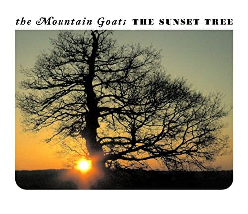 Image of The Sunset Tree