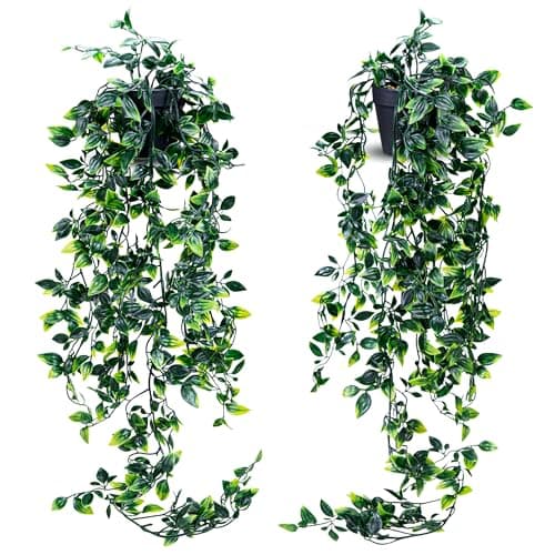 Image of JEY PRODUCTS 2pc Hanging Plant Decorative Artificial Plants in Pots- Small Plastic Fake Plants Indoor with Pot - Eucalyptus Rosemary Succulents Mini Faux Plants for Wall Desk Bedroom Decoration