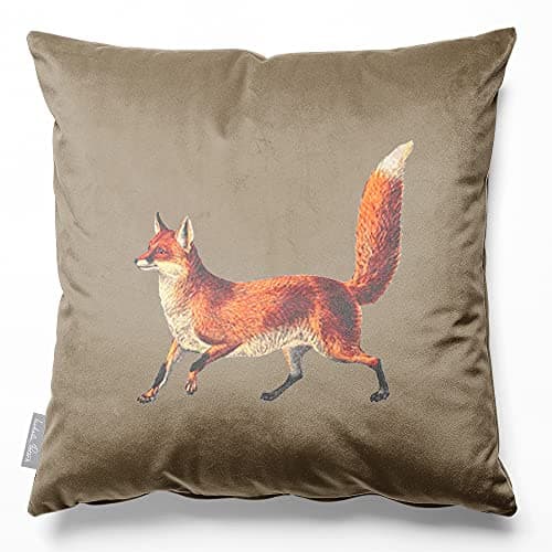 Image of Izabela Peters Eco-Friendly Velvet Cushions With Covers Included, 40 cm, Fox - Taupe, Chair & Sofa Seat Cushions
