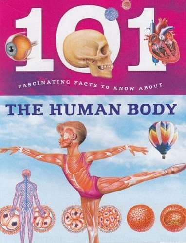 Image of 101 Fascinating Facts To Know About - Human Body