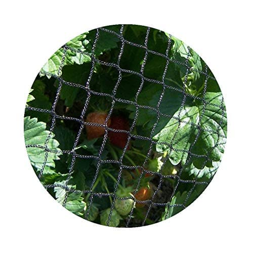 Image of Heavy Duty Bird Soft Flexible Netting for Garden Fruit Crop Cage Protection - (6m x 5m)