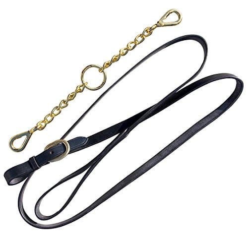 Image of Shires Blenheim Black Leather Lead with Newmarket Brass Chain