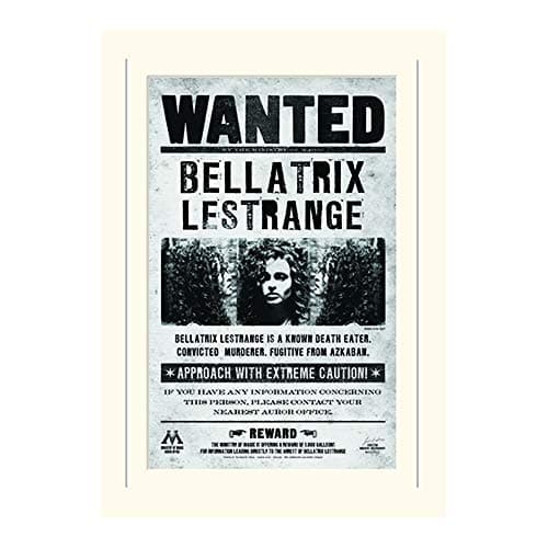 Image of Pyramid International Harry Potter Bellatrix Wanted Mounted Print Memorabilia, Multi-Colour, 30 x 40 x 1.3 cm