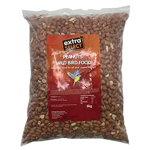 Image of Extra Select Whole Peanuts for Wild Birds, Aflatoxin Tested, Wild Bird Food Peanuts & Squirrel Food - 5kg Bag