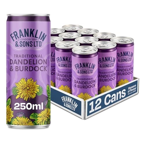 Image of Franklin & Sons Dandelion And Burdock | 12 x 250ml Cans | Traditional Dandelion & Burdock | Big Flavour | All Natural flavours | Sparkling Soft Drink | Premium Fizzy Drink |