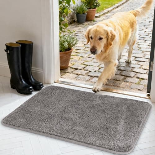 Image of AUAUY Door Mats Indoor, Super Absorbent and Non-Slip Indoor Door Mat, Dirt Trapper Doormat, Machine Washable Doormats Rug for Entrance, Inside, Kitchen, 40 x 60 cm(Grey)