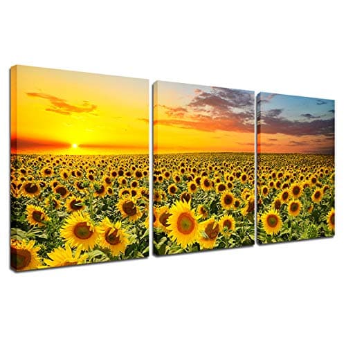 Image of Canvas Wall Art Sunflower Pictures - 3 Pieces Flower Landscape Paintings Set for Home Living Room Kitchen Decor Bedroom Office Modern Artwork Sunset Wall Art Nature Floral Poster Print 12x16 inch